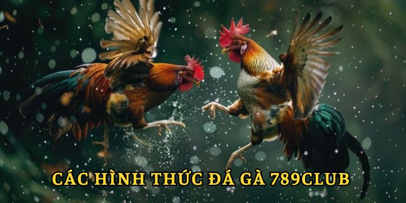 cac hinh thuc da ga 789club