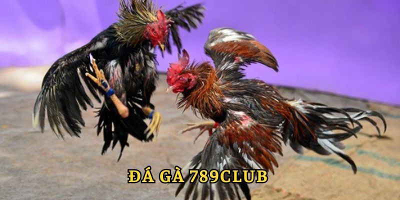 da ga 789club